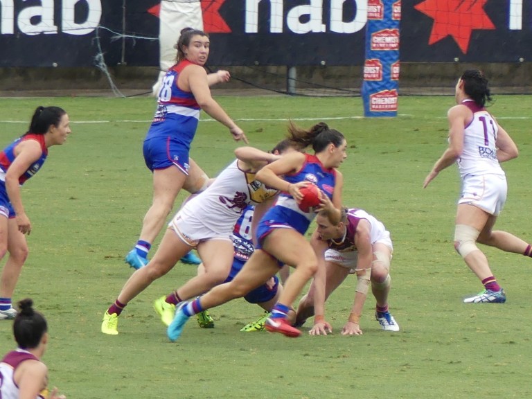 P1040609 - Copy - Copy.JPG