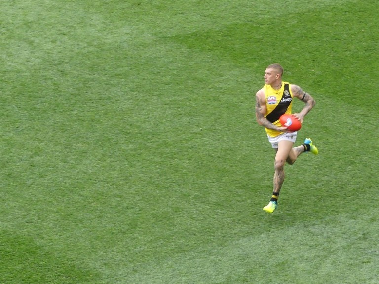 P1550557 - Copy - Copy (2).JPG