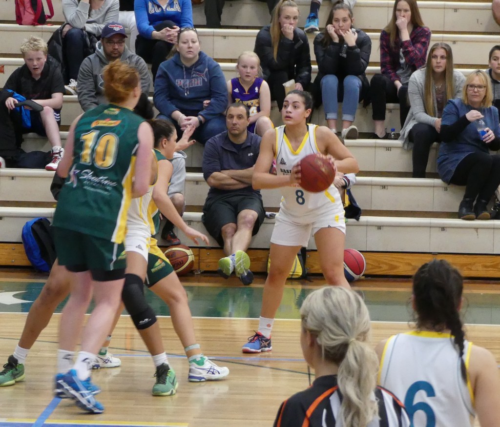 This image has an empty alt attribute; its file name is p1100658-copy.jpg